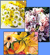 Refrigeration equipment for floral stores and facilities. Refrigeration equipment for floral stores and facilities.