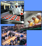 Refrigeration equipment for food processing facilities. Refrigeration equipment for food processing facilities.